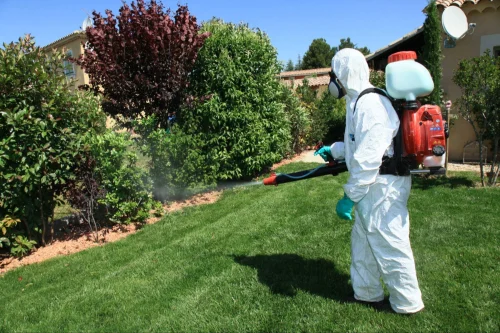 Marshall Mosquito Control