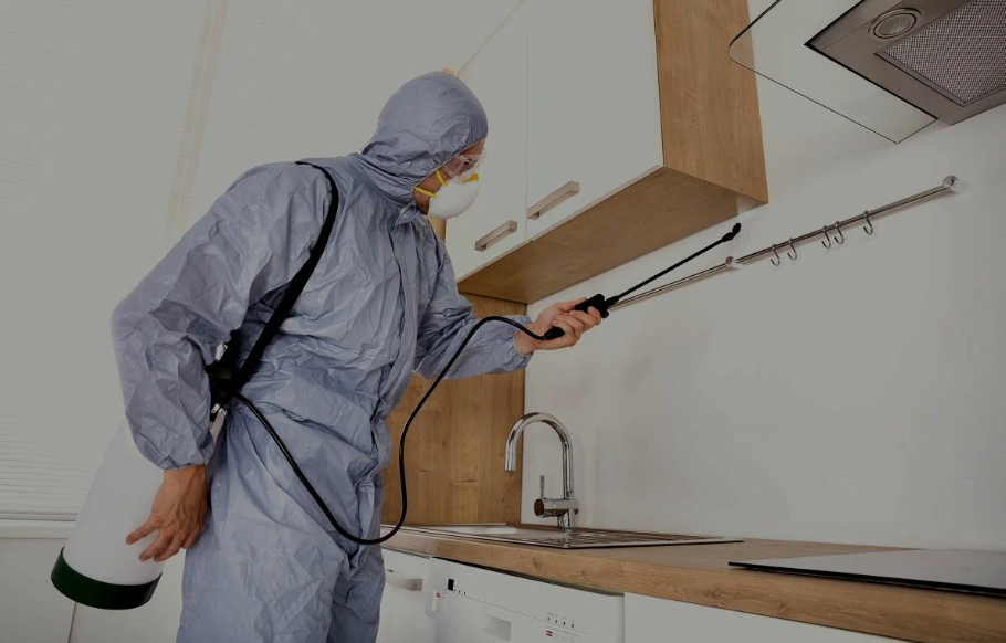 Marshall pest managment